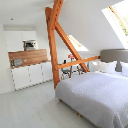 Zollikof Aparts - Sauna & Studioapartments לייפציג